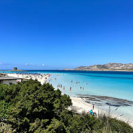 Lady Genny Apartmán *